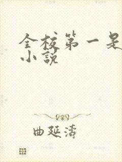 全校第一是我的小说