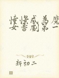 憧憬成为魔法少女番剧第一季