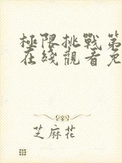 极限挑战第五季在线观看免费播放