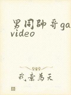 男同帅哥gayvideo封面