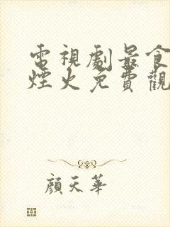 电视剧最食人间烟火免费观看