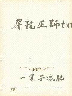 屠龙巫师txt