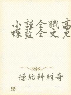 小说全职高手蝴蝶蓝全文免费