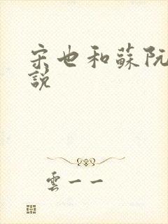 宋也和苏阮的小说
