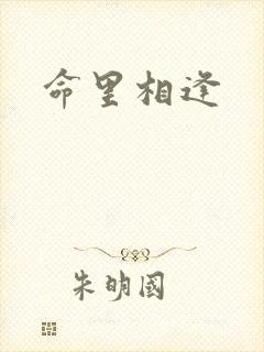 命里相逢