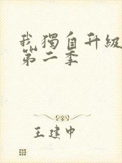 我独自升级在线第二季