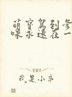 萌宝驾到爹地妈咪永远在一起大结局