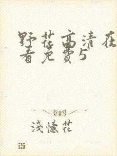 野花高清在线观看免费5封面