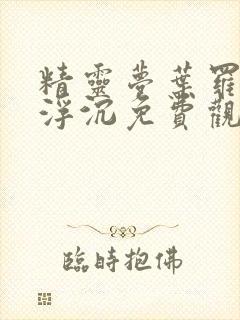 精灵梦叶罗丽光浮沉免费观看