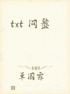 txt 网盘