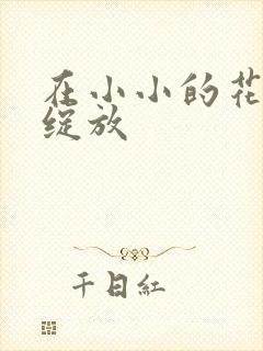 在小小的花蕾中绽放封面