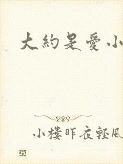大约是爱小说