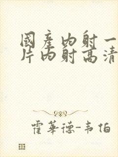 国产内射一级一片内射高清视频大全