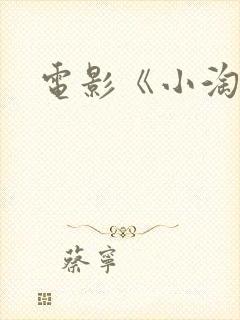 电影《小淘气》封面