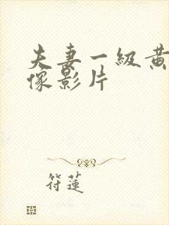 夫妻一级黄色录像影片