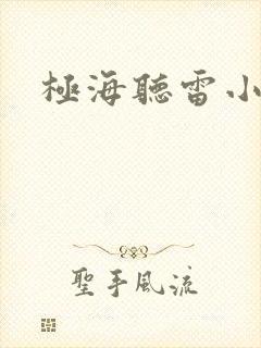 极海听雷小说封面