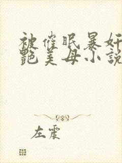 被催眠暴奸的冷艳美母小说