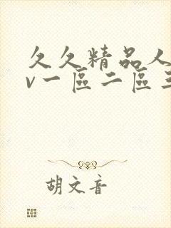 久久精品人妻av一区二区三区