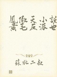 凤傲天小说里的黄毛反派也想要幸福txt封面