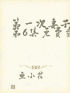 第一次妻子动漫第6集免费观看全集下封面