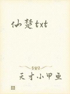 仙楚txt封面
