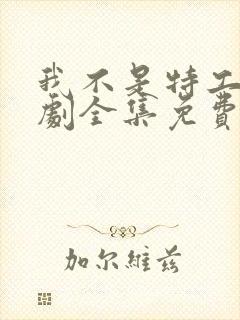 我不是特工电视剧全集免费观看