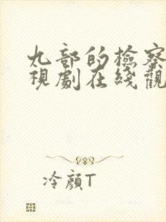 九部的检察官电视剧在线观看免费