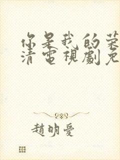 你是我的荣耀高清电视剧免费观看