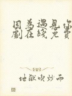 因为遇见你电视剧在线免费高清