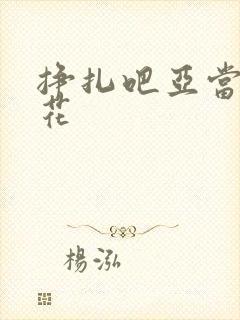 挣扎吧亚当君樱花封面