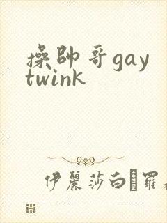 操帅哥gay twink封面