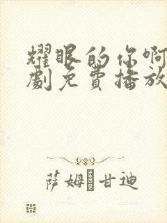 耀眼的你啊电视剧免费播放全集