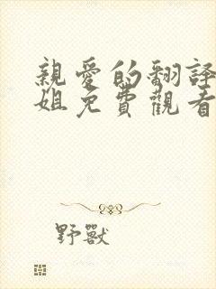 亲爱的翻译官小姐免费观看全集高清