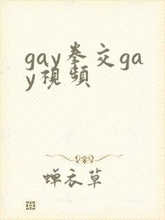 gay拳交gay视频