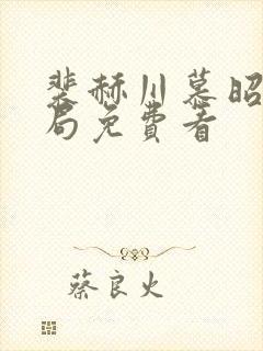 裴赫川慕昭大结局免费看