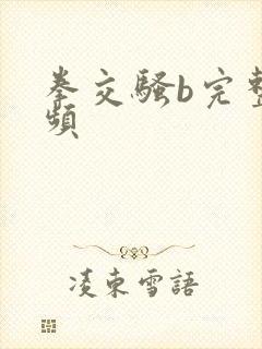 拳交骚b完整视频封面