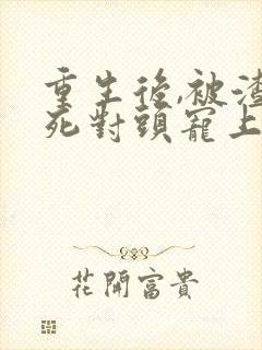 重生后,被渣男死对头宠上天短剧