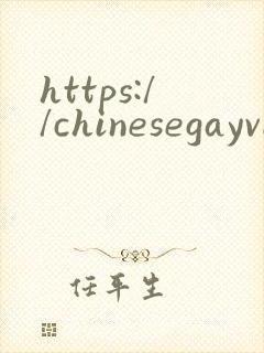 https://chinesegayvideo.com/
