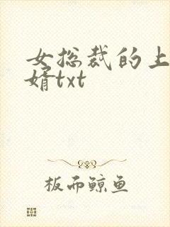 女总裁的上门龙婿txt