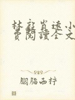 林毅肖远小说免费阅读全文最新章节封面