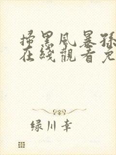 扫黑风暴孙红雷在线观看免费完整版西瓜封面