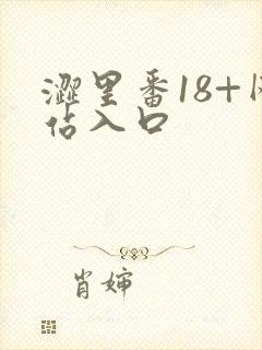 涩里番18+网站入口封面
