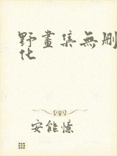 野画集无删减汉化