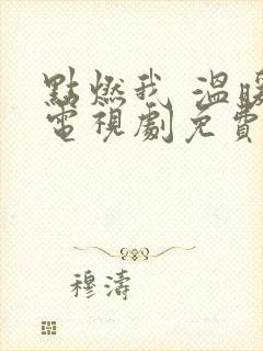 点燃我 温暖你电视剧免费观看