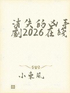 消失的凶手电视剧2026在线观看封面