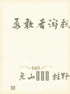 勇敢者游戏封面