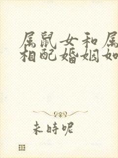 属鼠女和属龙男相配婚姻如何