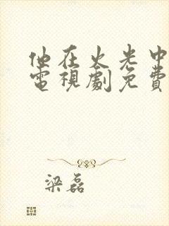 他在火光中走来电视剧免费观看全集