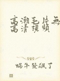 高潮毛片无遮挡高清视频封面