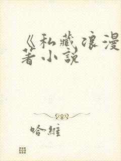 《私藏浪漫》原著小说